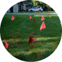 Survey-image2